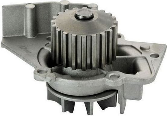 Water Pump, engine cooling A310055P