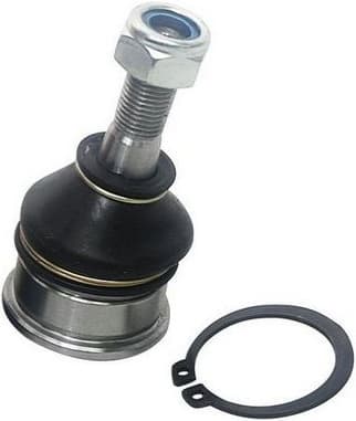 Ball Joint D110023