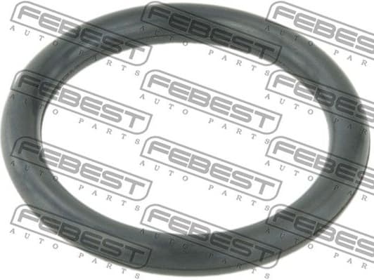 Gasket, coolant flange TT-TRAFII