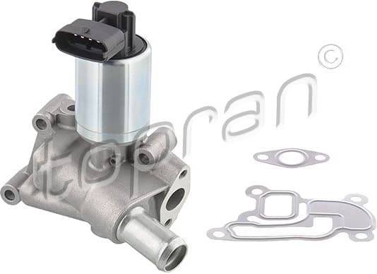 EGR Valve 207 096