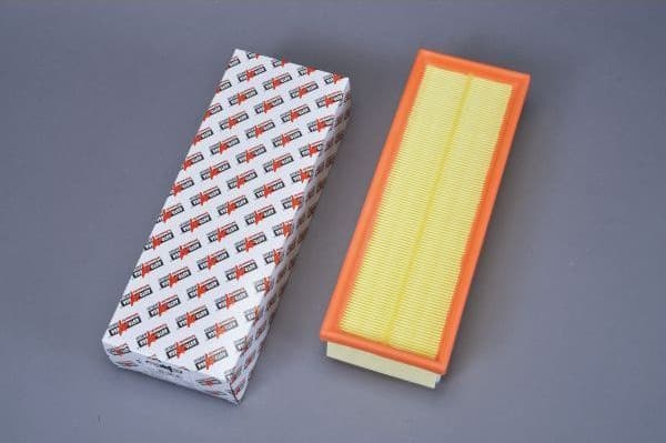 Air Filter 180029310
