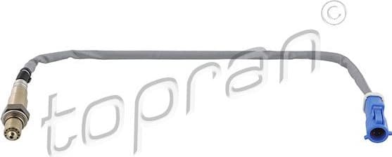 Oxygen Sensor 304 160