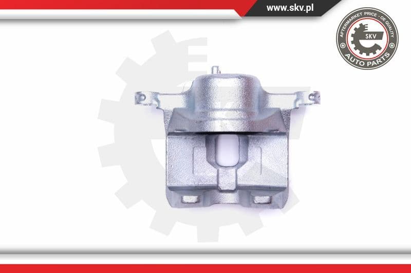 Brake Caliper 42SKV691