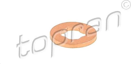 Heat Shield, injection system 305 021