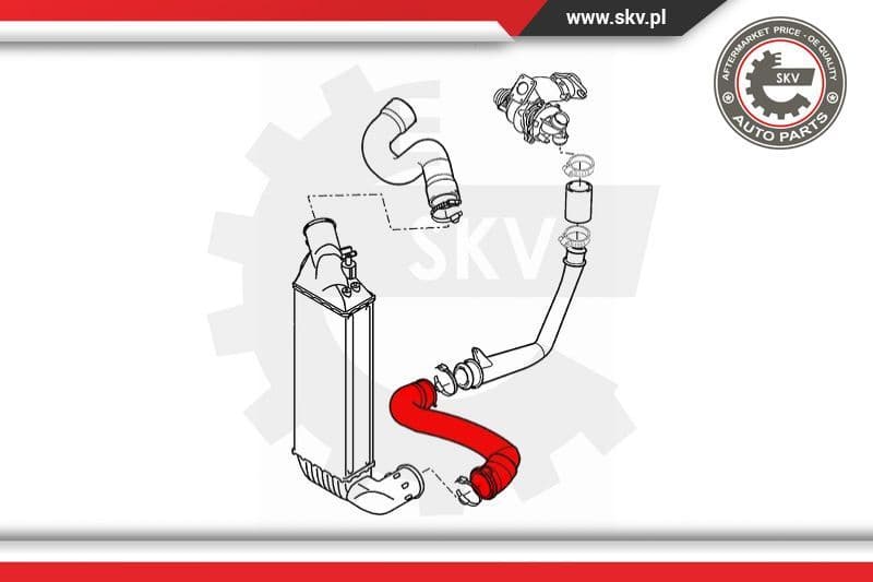 Charge Air Hose 24SKV564 - image 4