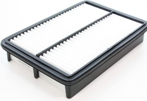 Air Filter 180068710