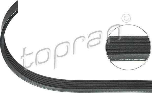 V-ribbed Belt 100 587