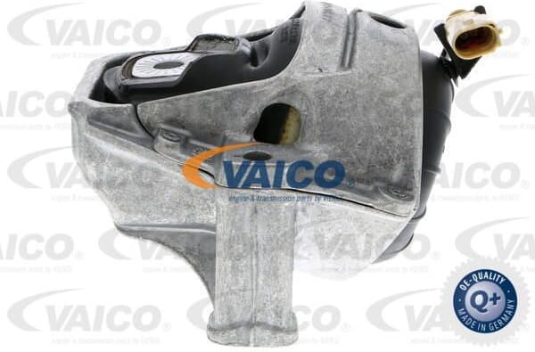 Mounting, engine Green Mobility Parts V10-3755