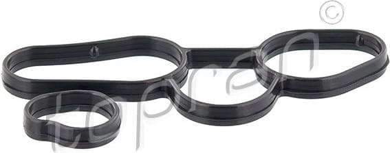 Gasket, oil cooler 115 261