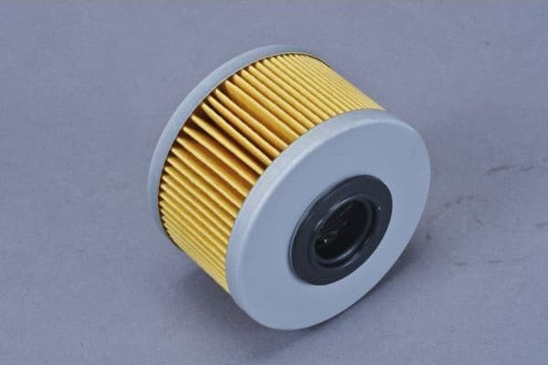 Fuel Filter 180008310 - image 3