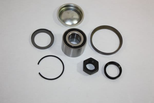 Wheel Bearing Kit 110130910