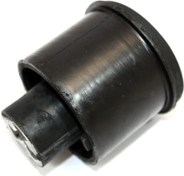 Bushing, axle beam 110043810