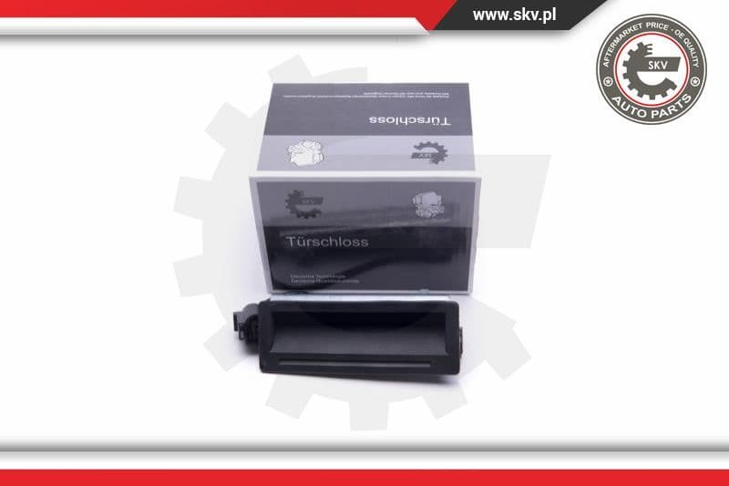 Tailgate Handle 16SKV251