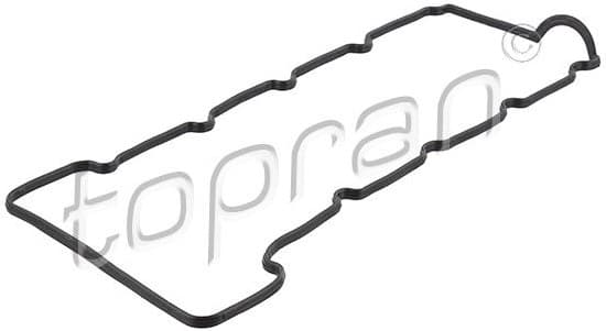 Gasket, cylinder head cover 820 252