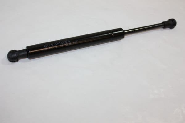 Gas Spring, boot/cargo area 100100110