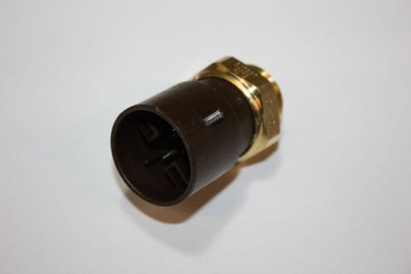 Temperature Switch, radiator fan 160103810