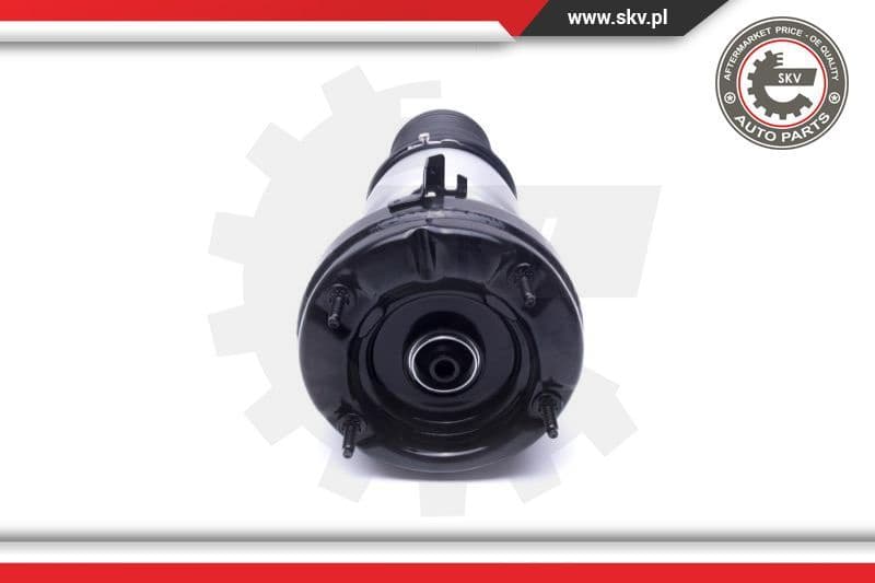 Air Suspension Strut 58SKV069 - image 2