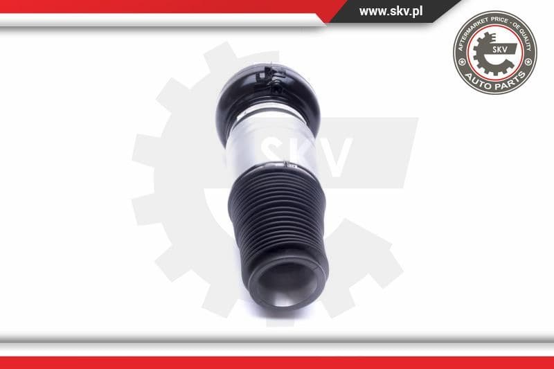 Air Suspension Strut 58SKV069 - image 3