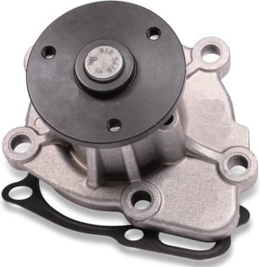 Water Pump, engine cooling P901