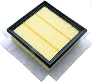 Air Filter A140865