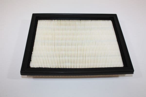 Air Filter 180017310