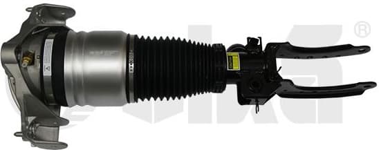 Air Suspension Strut 46160000501