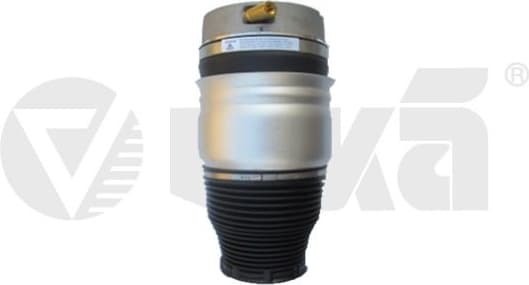 Air Suspension Strut 46160001701