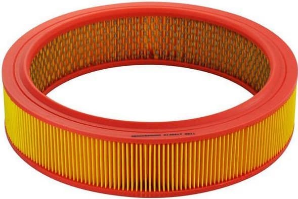 Air Filter A140317