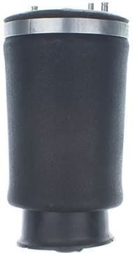 Air Spring, suspension DSA125G