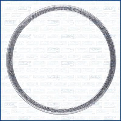Seal Ring, exhaust pipe 19007600