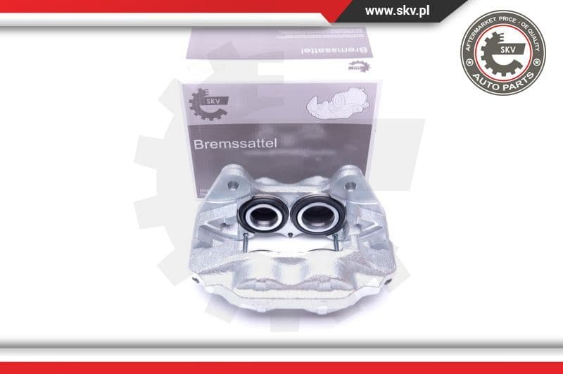 Brake Caliper 42SKV831