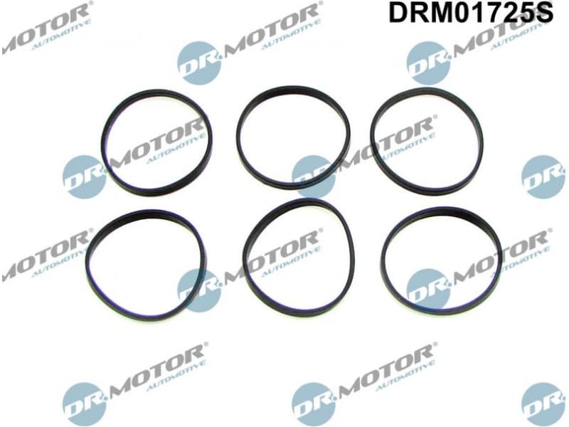 Gasket Set, intake manifold DRM01725S