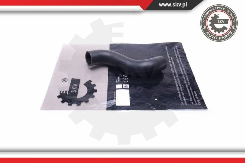Radiator Hose 43SKV871