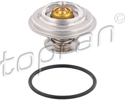 Thermostat, coolant 500 546