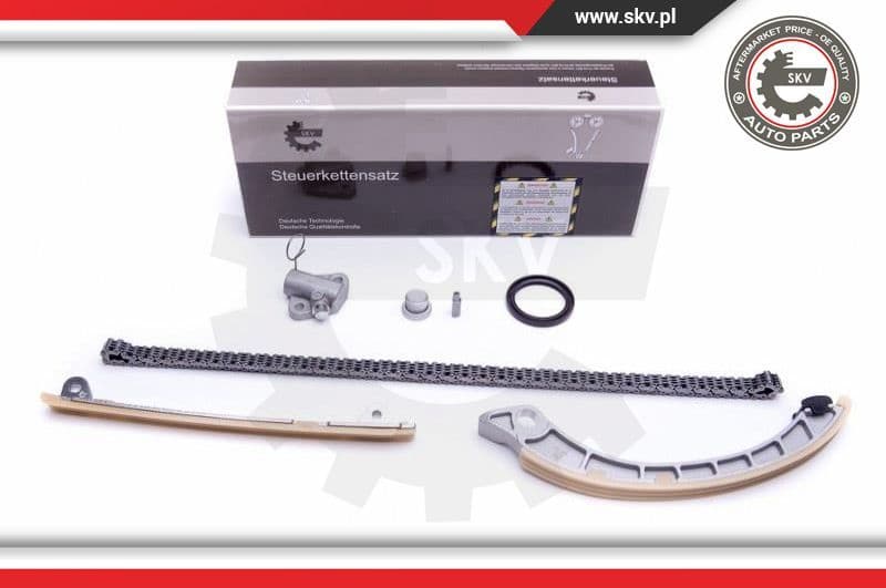 Timing Chain Kit 21SKV222