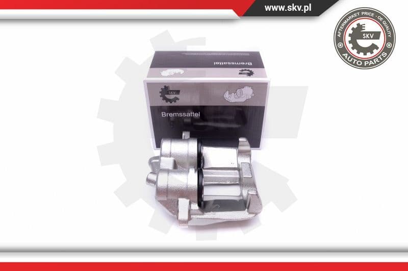 Brake Caliper 50SKV173
