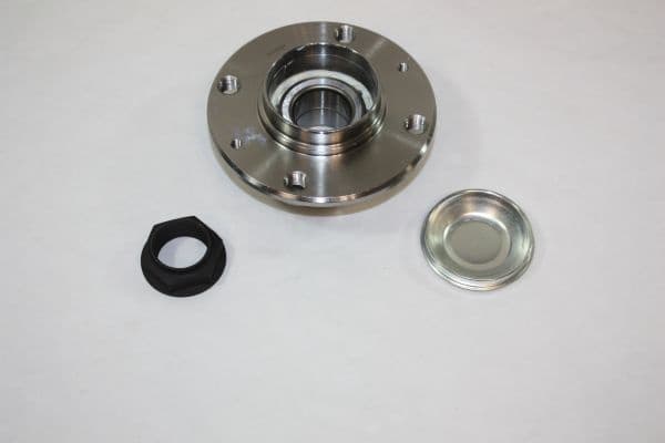Wheel Bearing Kit 110130010