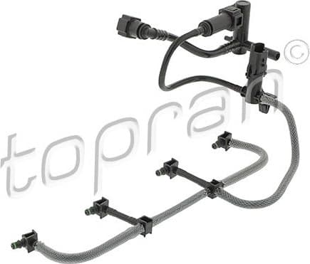 Hose, fuel overflow 305 374