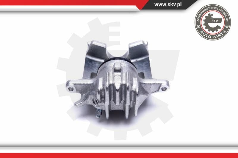 Brake Caliper 50SKV952