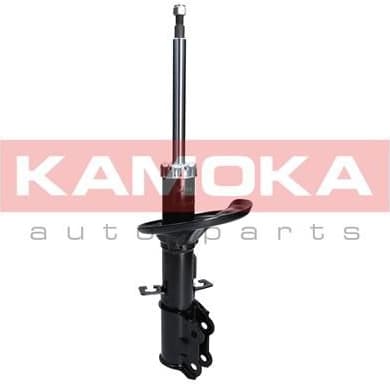 Shock Absorber 2000155