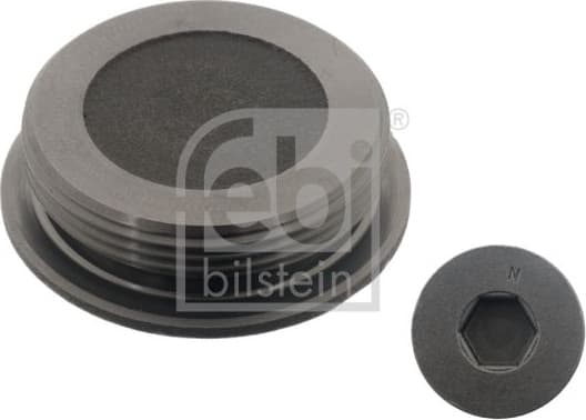 Screw Plug, cylinder head 04818