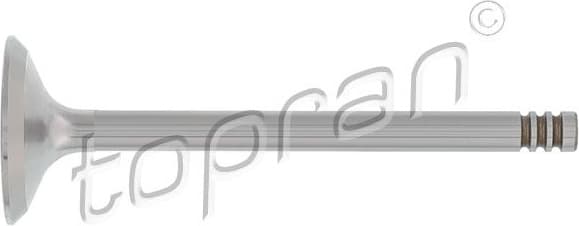 Intake Valve 110 204