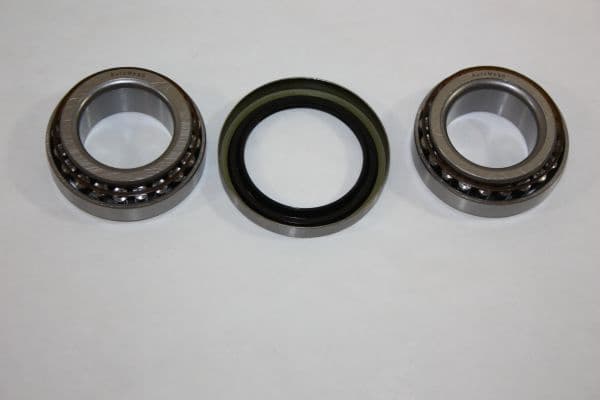 Wheel Bearing Kit 110013810