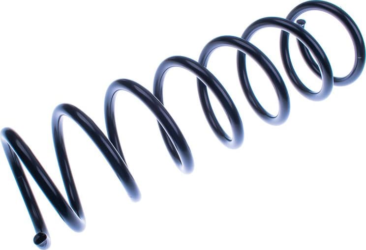 Suspension Spring D700113