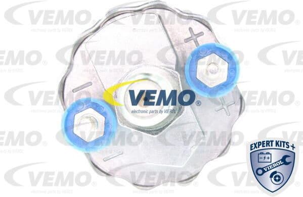 Fuel Pump EXPERT KITS + V30-09-0002 - image 2