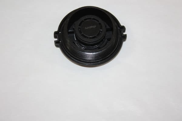 Cap, coolant tank 160055710