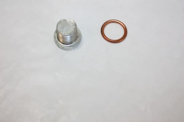 Screw Plug, oil sump 130076810
