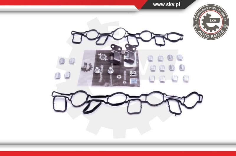 Repair Kit, intake manifold module 49SKV519