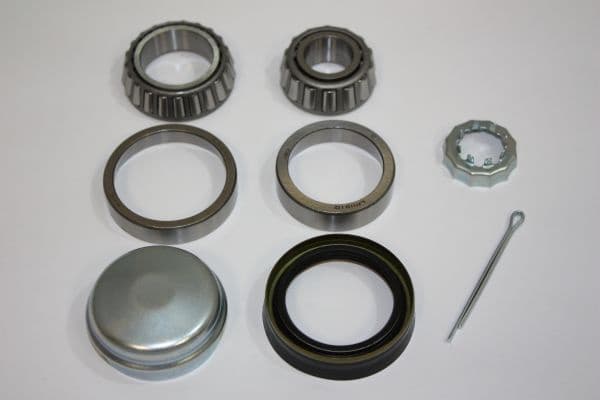 Wheel Bearing Kit 110100110