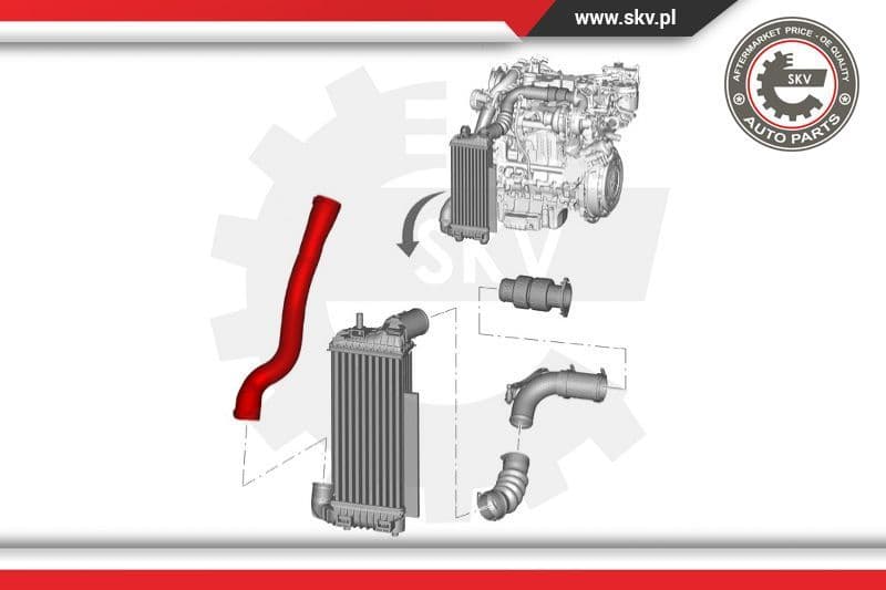 Charge Air Hose 24SKV590 - image 4